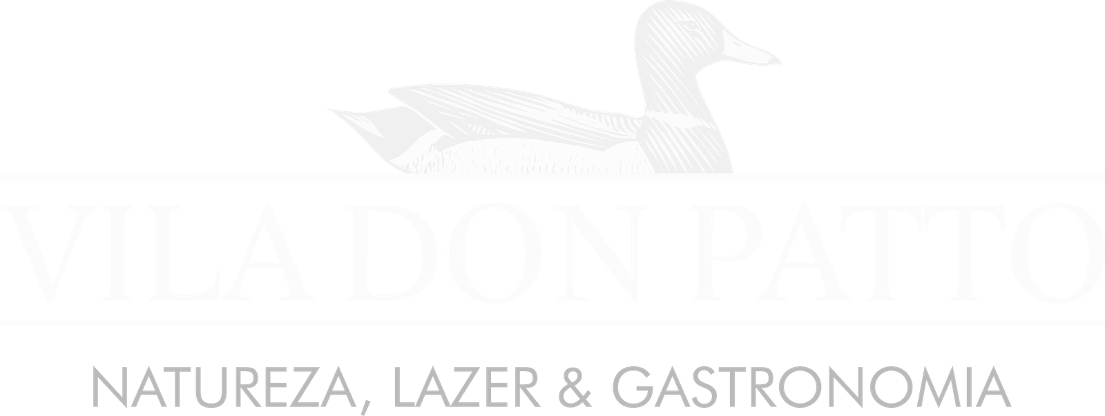 logo-color 1